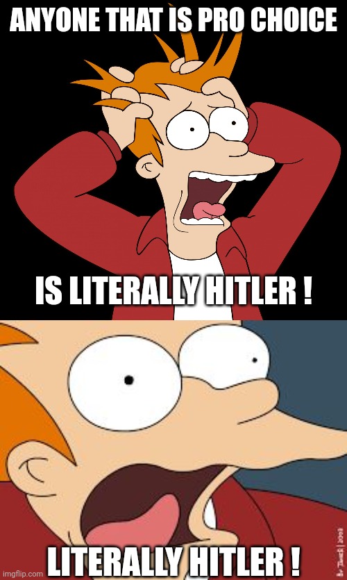 ANYONE THAT IS PRO CHOICE IS LITERALLY HITLER ! LITERALLY HITLER ! | image tagged in futurama fry screaming,fry screaming | made w/ Imgflip meme maker