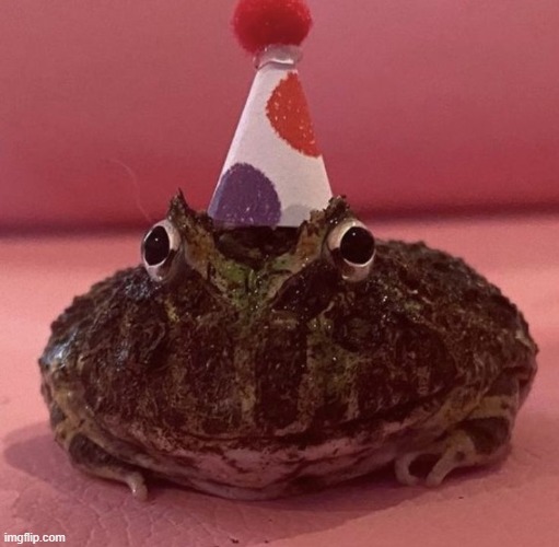 Say happy birthday to the birthday frog! | image tagged in memes,frog | made w/ Imgflip meme maker