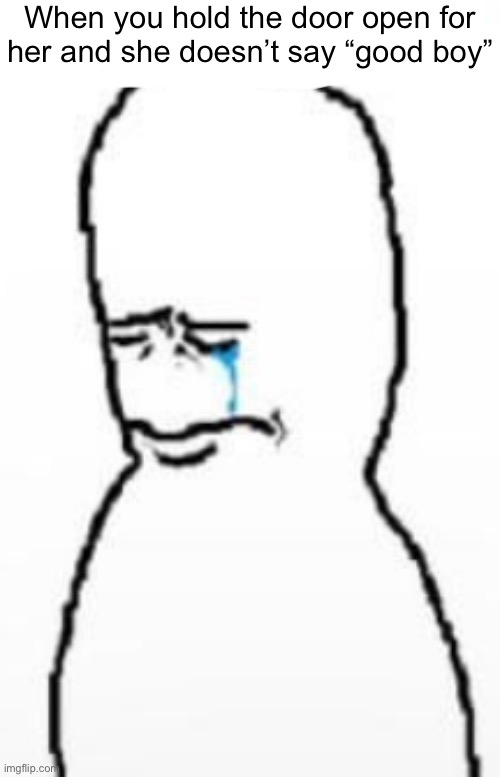 Sad fallenchungus guy | When you hold the door open for
her and she doesn’t say “good boy” | image tagged in sad fallenchungus guy | made w/ Imgflip meme maker