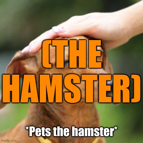 Good boy | (THE HAMSTER) *Pets the hamster* | image tagged in good boy | made w/ Imgflip meme maker