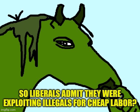 horse pepe | SO LIBERALS ADMIT THEY WERE EXPLOITING ILLEGALS FOR CHEAP LABOR? | image tagged in horse pepe | made w/ Imgflip meme maker