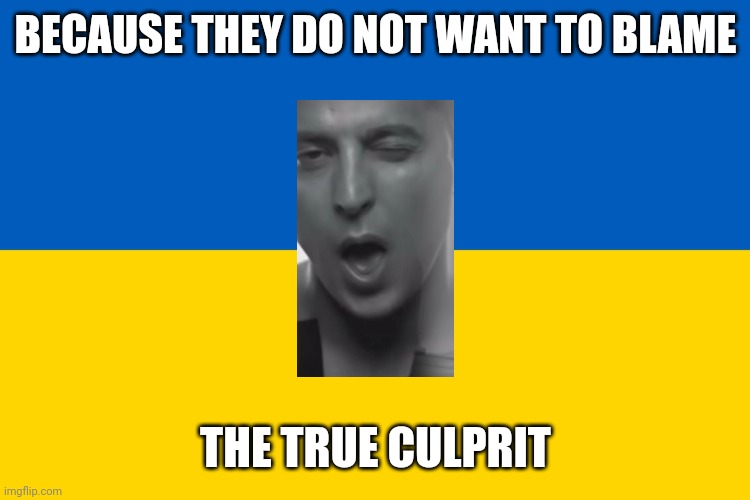 Ukraine flag | BECAUSE THEY DO NOT WANT TO BLAME THE TRUE CULPRIT | image tagged in ukraine flag | made w/ Imgflip meme maker