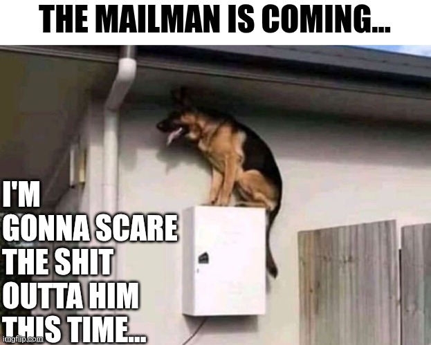 The Mailman Is Coming... I'm Gonna Scare The Shit Outta Him This Time... | THE MAILMAN IS COMING... I'M GONNA SCARE THE SHIT OUTTA HIM THIS TIME... | image tagged in chris joines | made w/ Imgflip meme maker