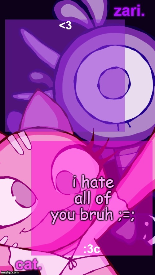 we just had a whole thing yesterday on dont post weird shit | i hate all of you bruh ;=; | image tagged in zari and cat catbirddog temp lol | made w/ Imgflip meme maker
