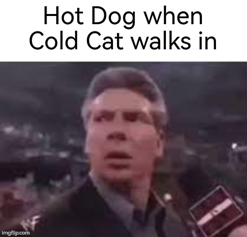 Now I wanna eat Cold Cat. | Hot Dog when Cold Cat walks in | image tagged in x when x walks in,memes,funny,hot dog | made w/ Imgflip meme maker