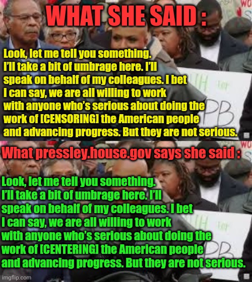 WHAT SHE SAID : Look, let me tell you something. I’ll take a bit of umbrage here. I’ll speak on behalf of my colleagues. I bet I can say, we | made w/ Imgflip meme maker