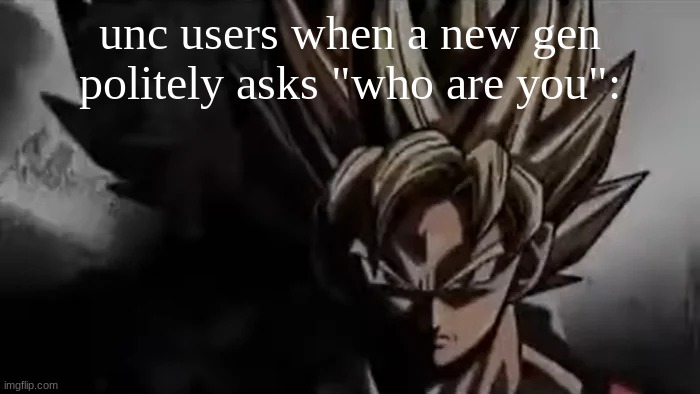 Goku Staring | unc users when a new gen politely asks "who are you": | image tagged in goku staring | made w/ Imgflip meme maker