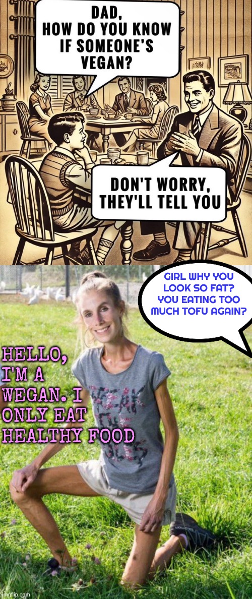 We must encourage the Left to be more healthy | GIRL WHY YOU LOOK SO FAT? YOU EATING TOO MUCH TOFU AGAIN? HELLO, I'M A WEGAN. I ONLY EAT HEALTHY FOOD | made w/ Imgflip meme maker