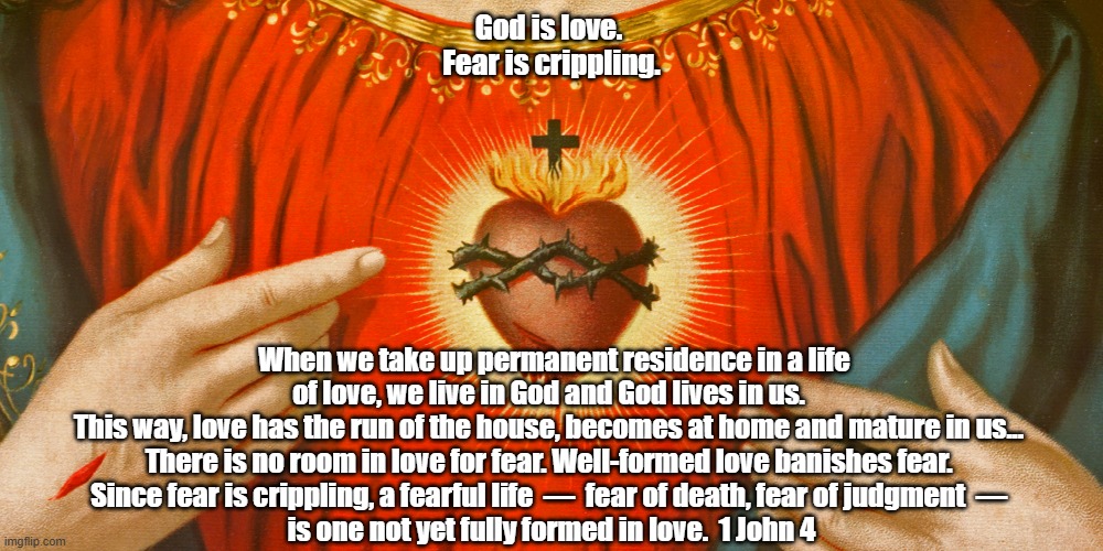 God Is Love. The Heart Is Sacred | God is love. 
Fear is crippling. When we take up permanent residence in a life of love, we live in God and God lives in us. 
This way, love has the run of the house, becomes at home and mature in us... 
There is no room in love for fear. Well-formed love banishes fear. 
Since fear is crippling, a fearful life  —  fear of death, fear of judgment  — 
is one not yet fully formed in love.  1 John 4 | image tagged in sacred heart,god is love,the fear of judgment,the fear of punishment,love banishes fear,not yet made perfect in love | made w/ Imgflip meme maker