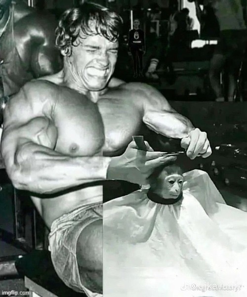 . | made w/ Imgflip meme maker