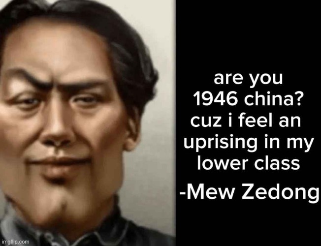 Mew zedong | image tagged in mew zedong | made w/ Imgflip meme maker