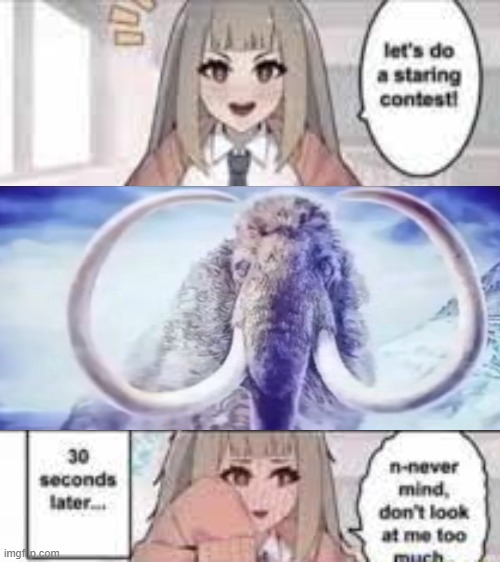 Staring contest 30 seconds | image tagged in staring contest 30 seconds | made w/ Imgflip meme maker