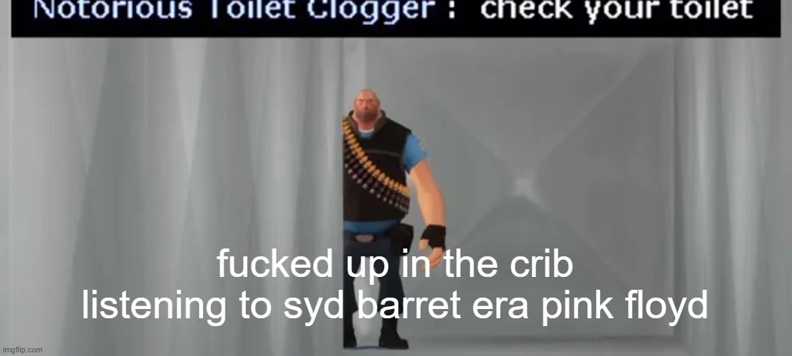 check your toilet | fucked up in the crib listening to syd barret era pink floyd | image tagged in check your toilet | made w/ Imgflip meme maker
