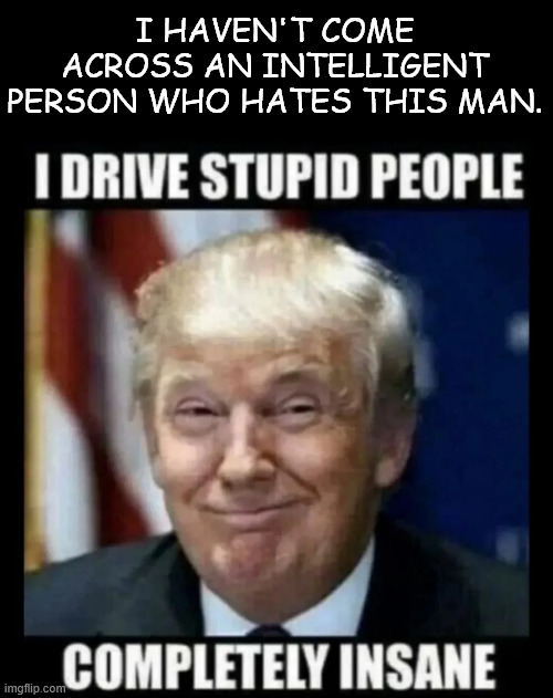 You see many examples of this every day... especially with all their alts... | I HAVEN'T COME ACROSS AN INTELLIGENT PERSON WHO HATES THIS MAN. | image tagged in driving hysterical libs insane | made w/ Imgflip meme maker