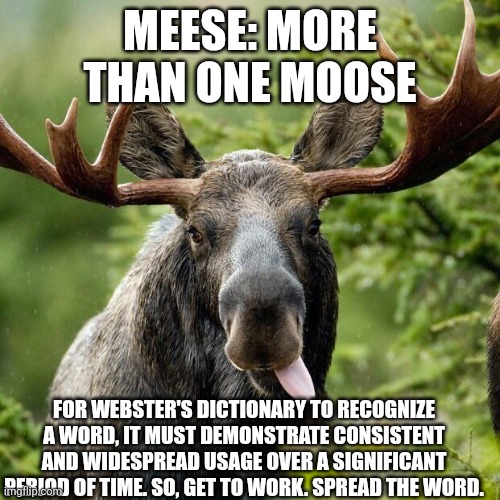 Spread The Word | MEESE: MORE THAN ONE MOOSE; FOR WEBSTER'S DICTIONARY TO RECOGNIZE A WORD, IT MUST DEMONSTRATE CONSISTENT AND WIDESPREAD USAGE OVER A SIGNIFICANT PERIOD OF TIME. SO, GET TO WORK. SPREAD THE WORD. | image tagged in moose,dictionary | made w/ Imgflip meme maker