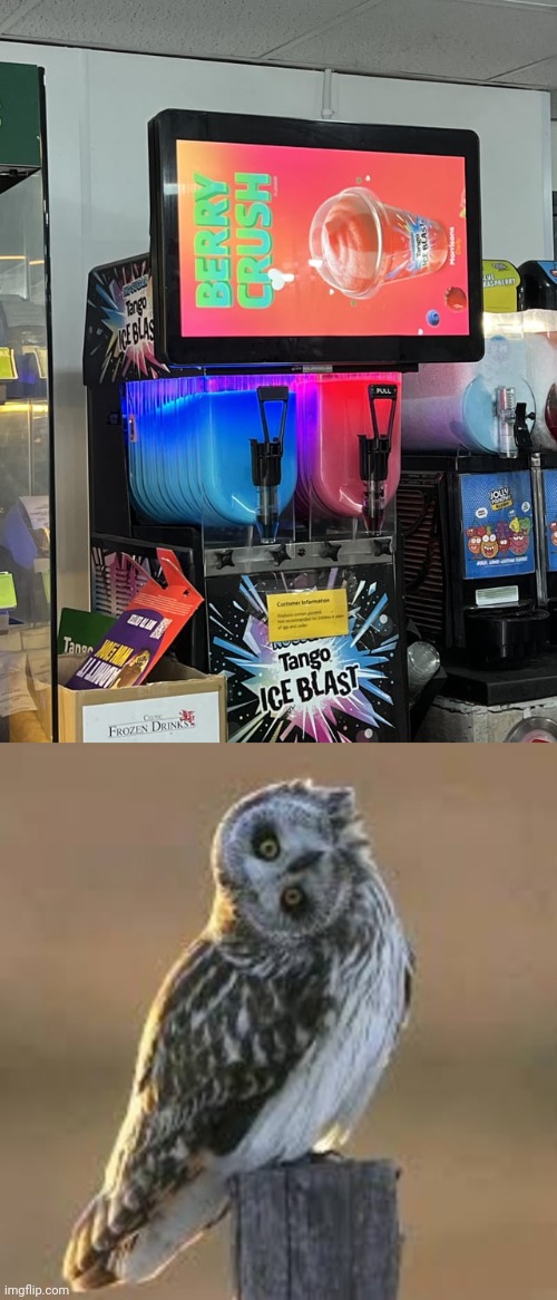 Sideways display | image tagged in sideways owl,slushies,drinks,drink,you had one job,memes | made w/ Imgflip meme maker