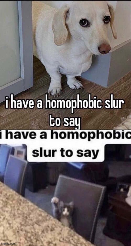 image tagged in i have a homophobic slur to say | made w/ Imgflip meme maker