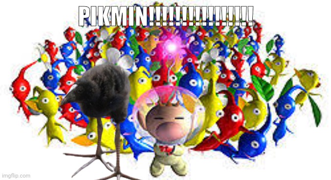 Pikmins | PIKMIN!!!!!!!!!!!!!!!! | image tagged in pikmins | made w/ Imgflip meme maker