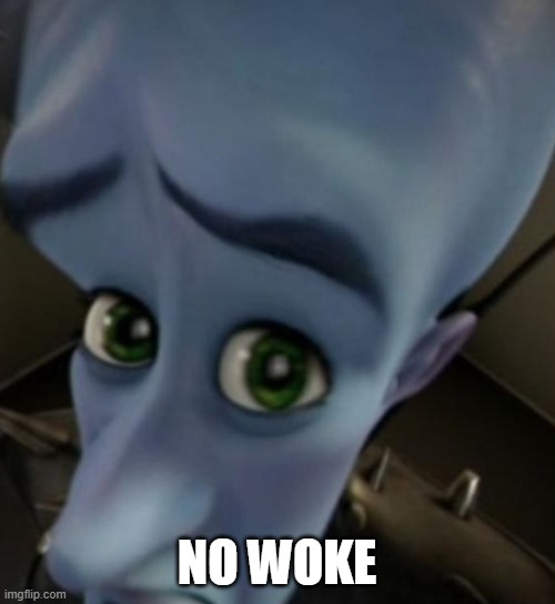 Megamind no bitches | NO WOKE | image tagged in megamind no bitches | made w/ Imgflip meme maker