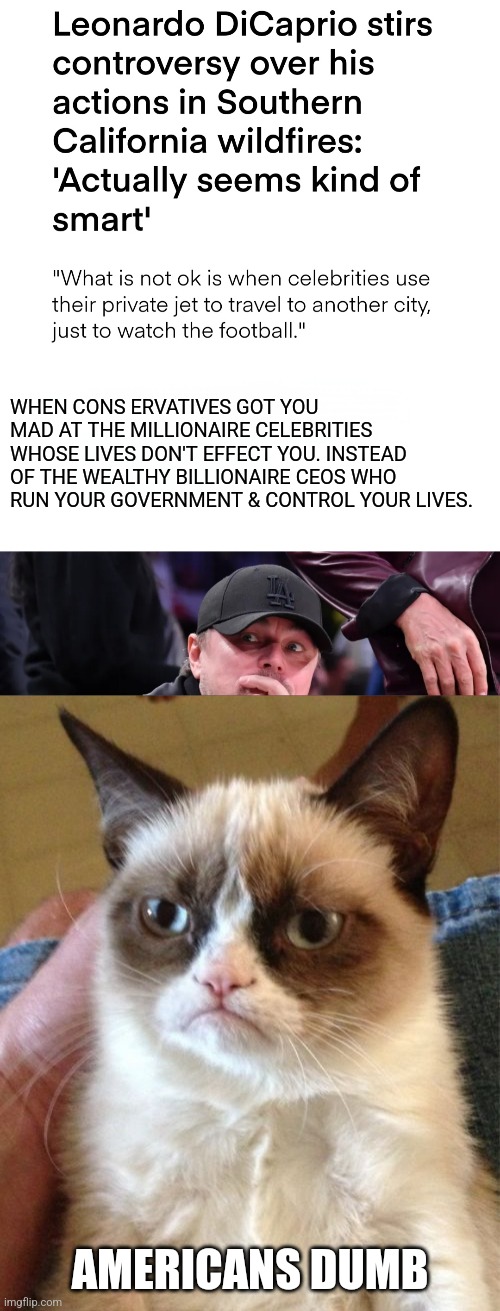 WHEN CONS ERVATIVES GOT YOU MAD AT THE MILLIONAIRE CELEBRITIES WHOSE LIVES DON'T EFFECT YOU. INSTEAD OF THE WEALTHY BILLIONAIRE CEOS WHO RUN YOUR GOVERNMENT & CONTROL YOUR LIVES. AMERICANS DUMB | image tagged in grumpy cat,celebration,america | made w/ Imgflip meme maker