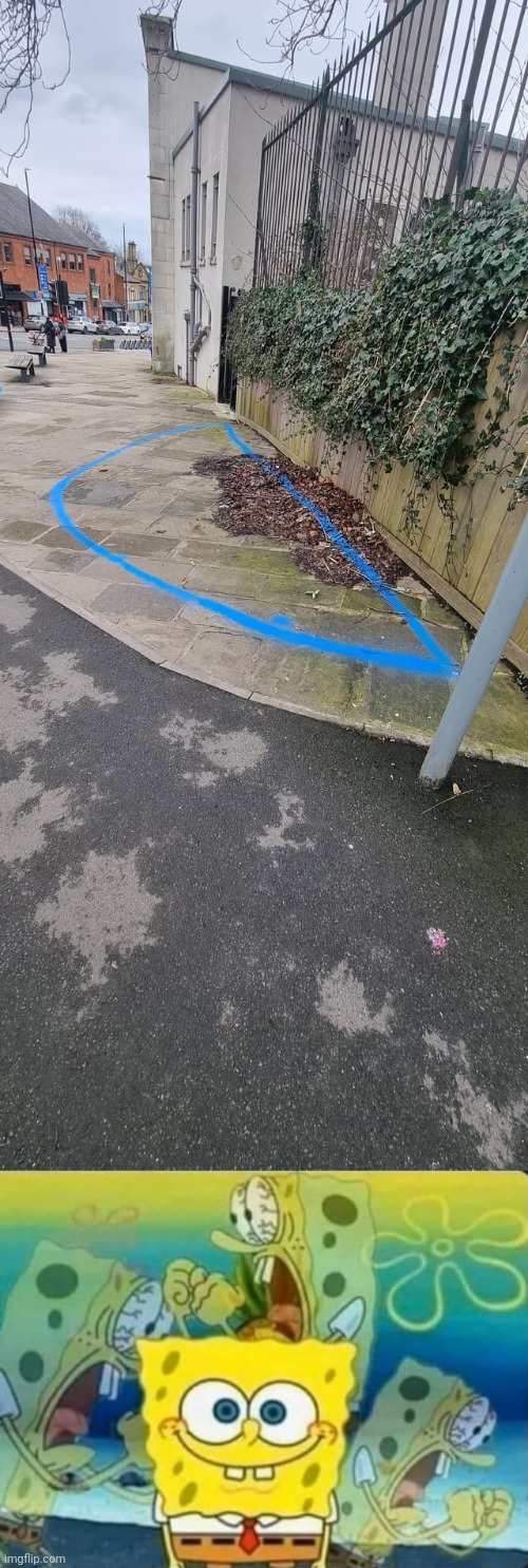 Blue | image tagged in internal screaming,leaves,blue,pavement,you had one job,memes | made w/ Imgflip meme maker