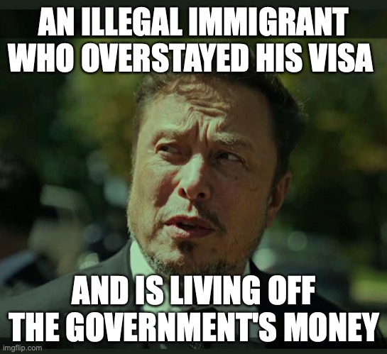 Elon Musk immigrant | AN ILLEGAL IMMIGRANT WHO OVERSTAYED HIS VISA; AND IS LIVING OFF THE GOVERNMENT'S MONEY | image tagged in elon musk,donald trump,maga,immigrants,south africa | made w/ Imgflip meme maker