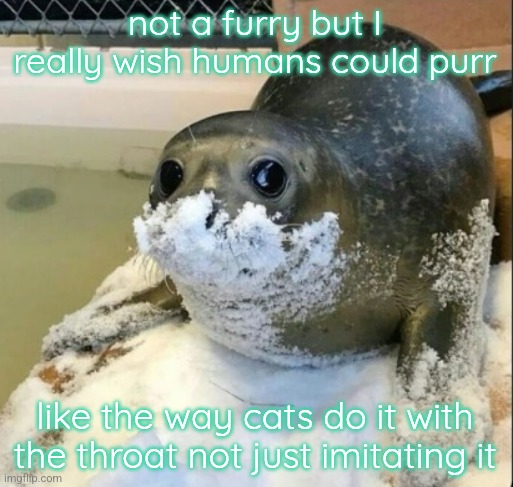 im not a furry tho trust pray emoji | not a furry but I really wish humans could purr; like the way cats do it with the throat not just imitating it | image tagged in la cocaina | made w/ Imgflip meme maker