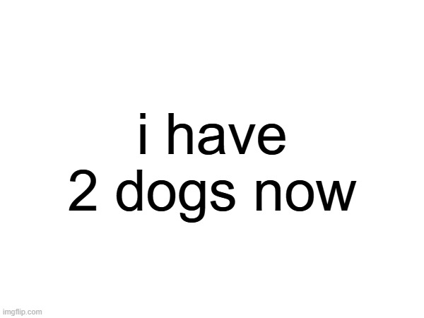 i have 2 dogs now | made w/ Imgflip meme maker