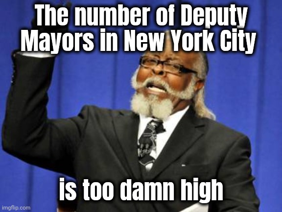 Too Damn High Meme | The number of Deputy Mayors in New York City is too damn high | image tagged in memes,too damn high | made w/ Imgflip meme maker