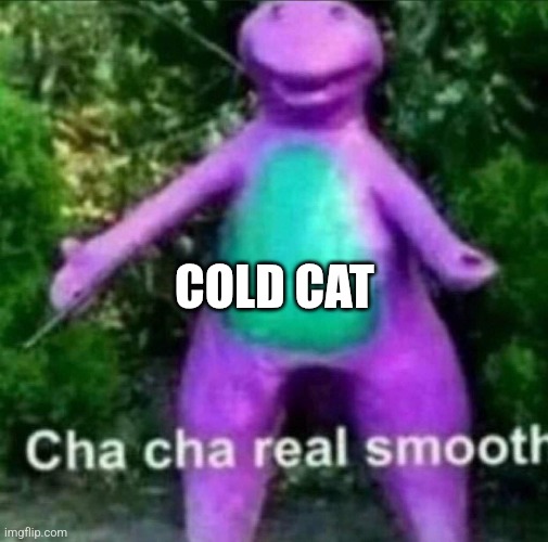 Cha Cha Real Smooth | COLD CAT | image tagged in cha cha real smooth | made w/ Imgflip meme maker