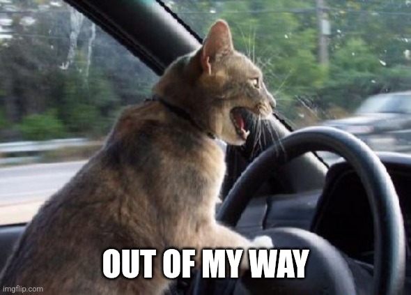 cat driving car | OUT OF MY WAY | image tagged in cat driving car | made w/ Imgflip meme maker