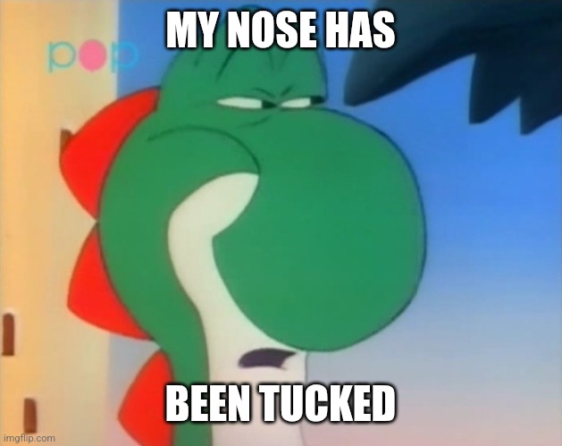 Skeptical Yoshi | MY NOSE HAS BEEN TUCKED | image tagged in skeptical yoshi | made w/ Imgflip meme maker