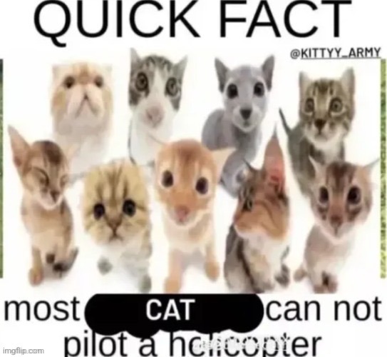 I hate pda sm im si dirty i feel like there are bugs under my skin but my brain worm won't let me go shower | made w/ Imgflip meme maker