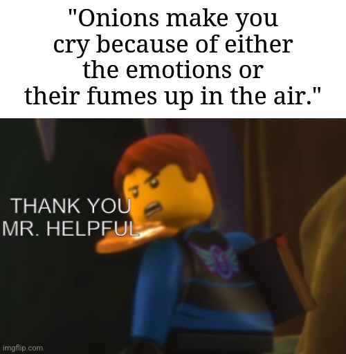 We already may know what onions are | "Onions make you cry because of either the emotions or their fumes up in the air." | image tagged in thank you mr helpful,memes,funny,onion | made w/ Imgflip meme maker