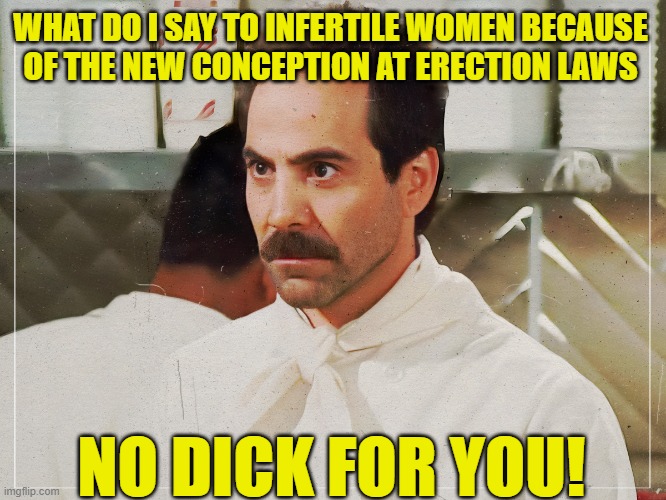 Dick Nazi | WHAT DO I SAY TO INFERTILE WOMEN BECAUSE
OF THE NEW CONCEPTION AT ERECTION LAWS; NO DICK FOR YOU! | image tagged in erection,nazi,soup nazi,democrats,liberal logic,abortion | made w/ Imgflip meme maker