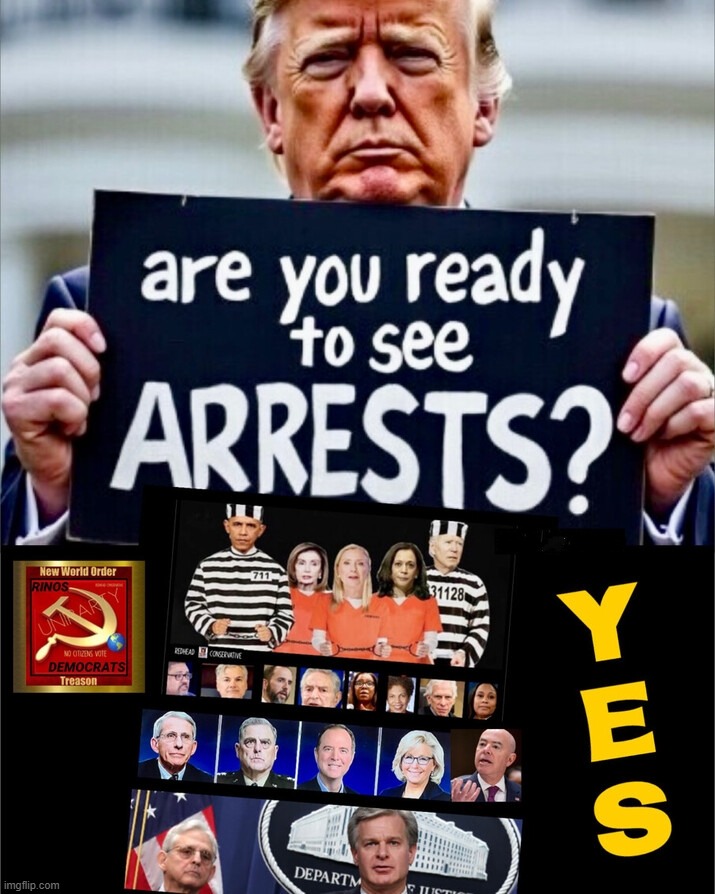 What do we want? Arrests. When do we want them? NOW! | image tagged in crush the commies,arrests,nuremberg trials,sedition,treason,rule of law | made w/ Imgflip meme maker