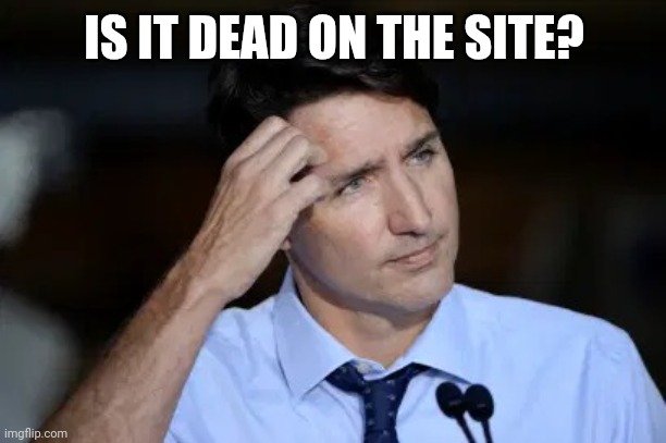 IS IT DEAD ON THE SITE? | image tagged in trudeau head scratch | made w/ Imgflip meme maker