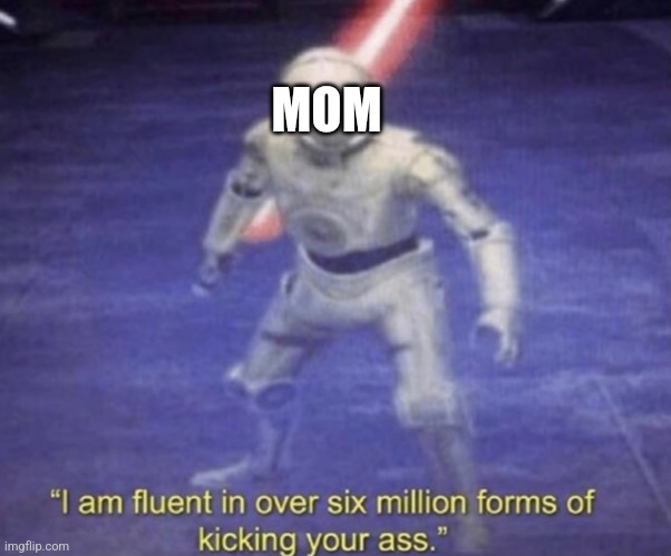 I am fluent in over six million forms of kicking your ass | MOM | image tagged in i am fluent in over six million forms of kicking your ass | made w/ Imgflip meme maker