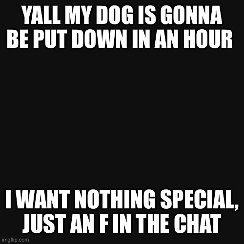 :( | YALL MY DOG IS GONNA BE PUT DOWN IN AN HOUR; I WANT NOTHING SPECIAL, JUST AN F IN THE CHAT | image tagged in dog | made w/ Imgflip meme maker