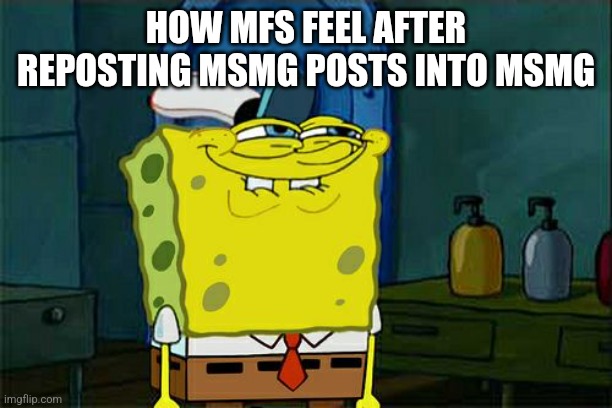 Don't You Squidward | HOW MFS FEEL AFTER REPOSTING MSMG POSTS INTO MSMG | image tagged in memes,don't you squidward | made w/ Imgflip meme maker