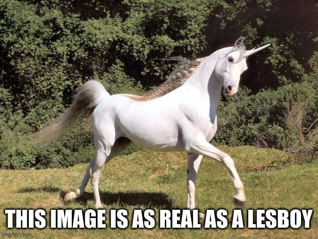Unicorns | THIS IMAGE IS AS REAL AS A LESBOY | image tagged in unicorns | made w/ Imgflip meme maker