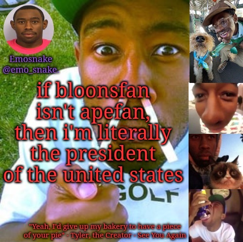 Emosnake's Tyler the Creator temp | if bloonsfan isn't apefan, then i'm literally the president of the united states | image tagged in emosnake's tyler the creator temp | made w/ Imgflip meme maker