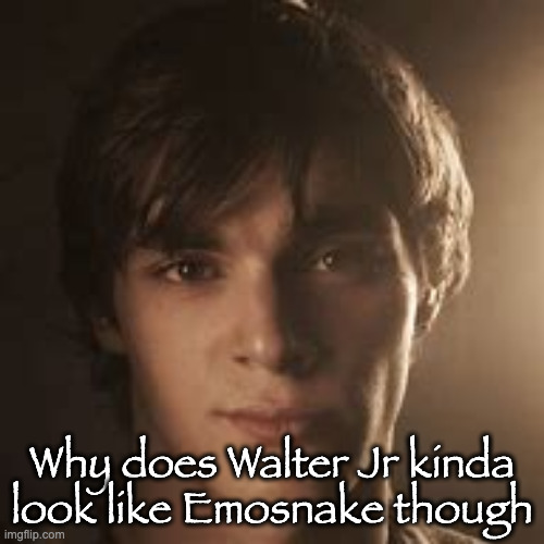 walter jr | Why does Walter Jr kinda look like Emosnake though | image tagged in walter jr | made w/ Imgflip meme maker