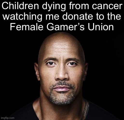 The rock stare | Children dying from cancer
watching me donate to the
Female Gamer’s Union | image tagged in the rock stare | made w/ Imgflip meme maker