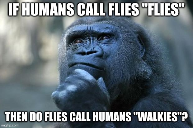 ... | IF HUMANS CALL FLIES "FLIES"; THEN DO FLIES CALL HUMANS "WALKIES"? | image tagged in deep thoughts | made w/ Imgflip meme maker