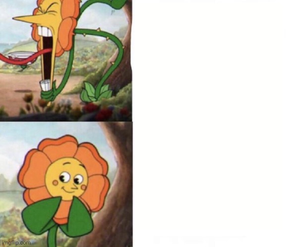cagney carnation | image tagged in cagney carnation | made w/ Imgflip meme maker