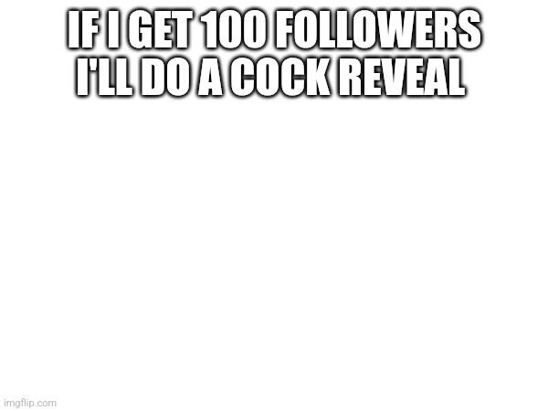 No joke, I'll actually do it | IF I GET 100 FOLLOWERS I'LL DO A COCK REVEAL | image tagged in dick reveal | made w/ Imgflip meme maker