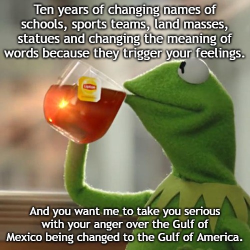 The left cry a lot. A LOT. | Ten years of changing names of schools, sports teams, land masses, statues and changing the meaning of words because they trigger your feelings. And you want me to take you serious with your anger over the Gulf of Mexico being changed to the Gulf of America. | image tagged in memes,but that's none of my business,kermit the frog | made w/ Imgflip meme maker