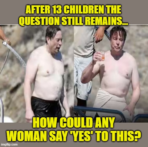 Bow Chicka Wow Wow! | AFTER 13 CHILDREN THE QUESTION STILL REMAINS... HOW COULD ANY WOMAN SAY 'YES' TO THIS? | image tagged in elon musk,white guy,moron,whale | made w/ Imgflip meme maker