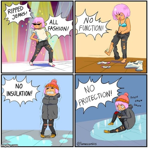 image tagged in jeans,ripped,function,insulation,protection,no | made w/ Imgflip meme maker